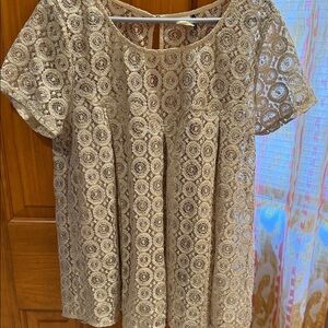 Anthropologie Chic Lace Blouse in Taupe with Metallic Thread